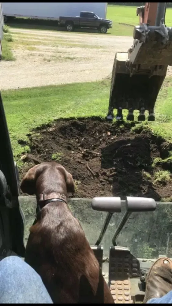 Reliable landscape design for homes across Eyota, MN - Soma Services