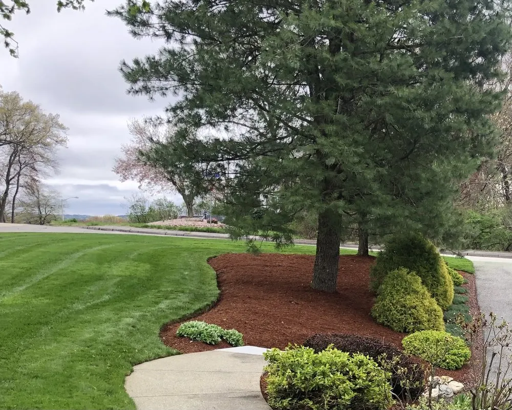Expert yard maintenance near you across Marlborough, MA - Somar Landscape