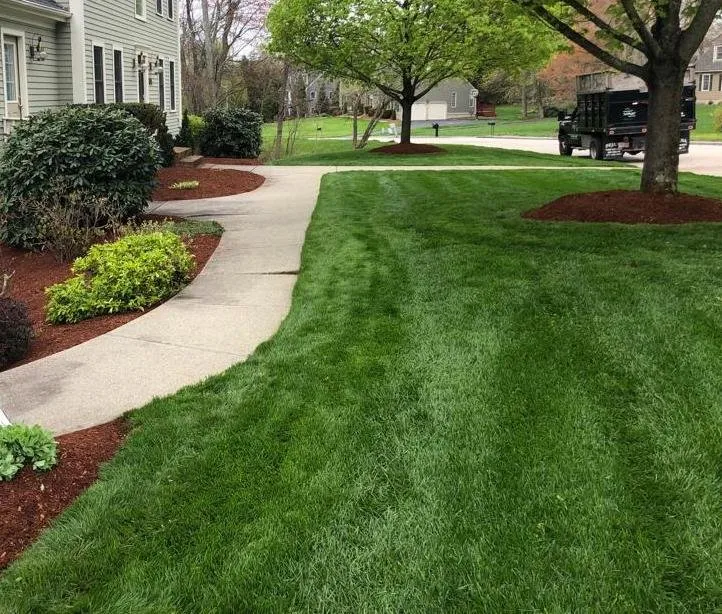 Reliable yard cleanup service in Marlborough, MA - Somar Landscape