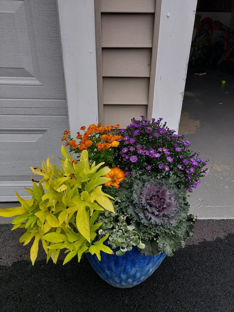 Professional landscaping services near you in Marlborough, MA by Somar Landscape