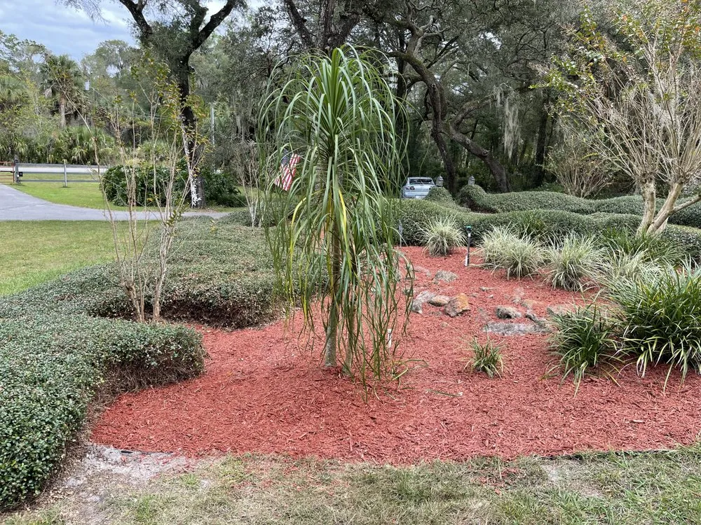 Local outdoor landscaping for outdoor upgrades in Deltona, FL by Some Guy Lawn Care