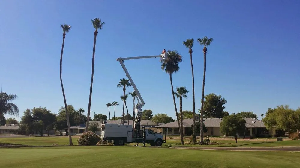 Local landscaping services experts serving Chandler, AZ - Somerset Landscape Maintenance
