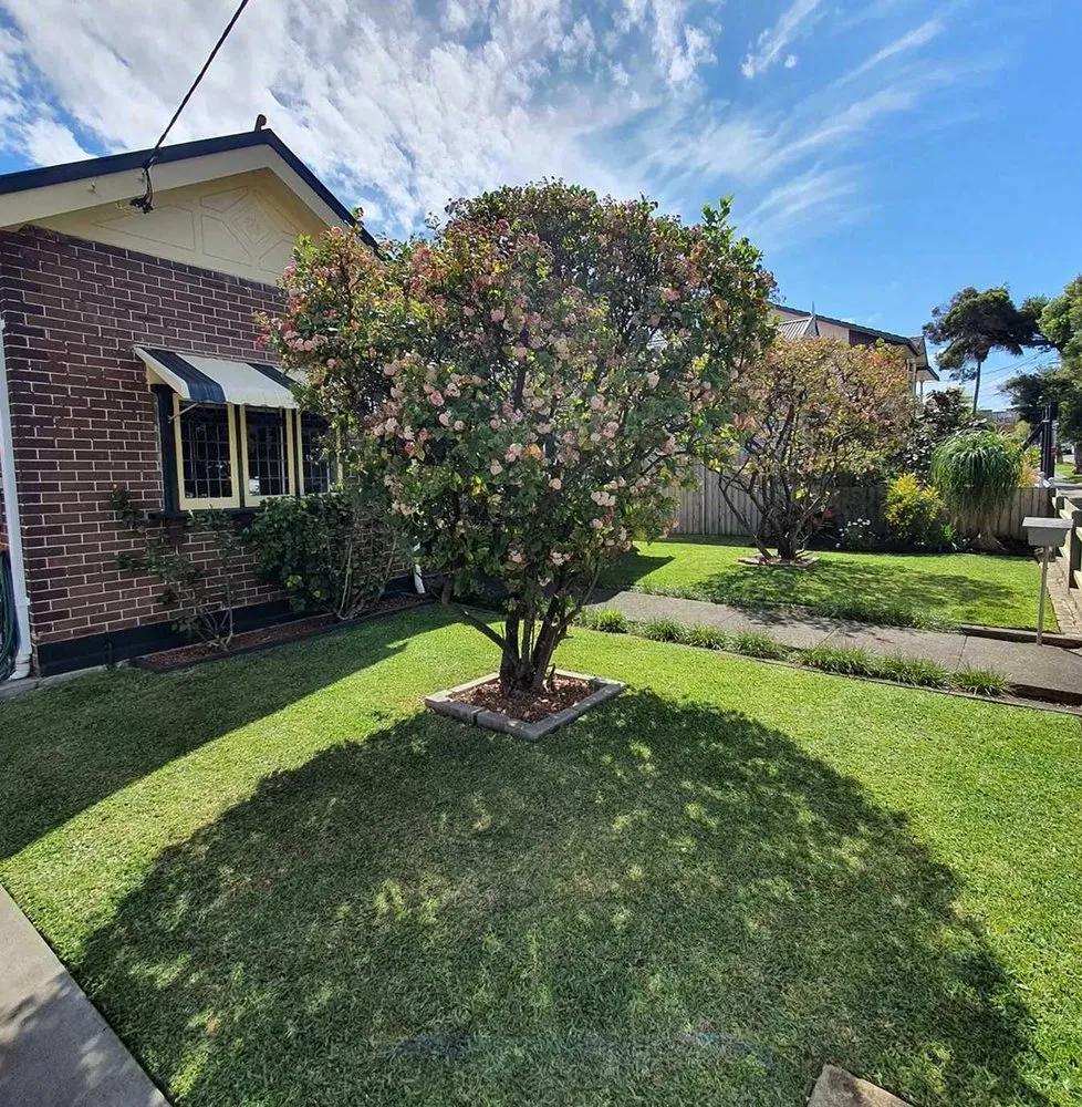 Affordable garden landscaping for beautiful yards across San Antonio, TX - Somerset Lawn Services