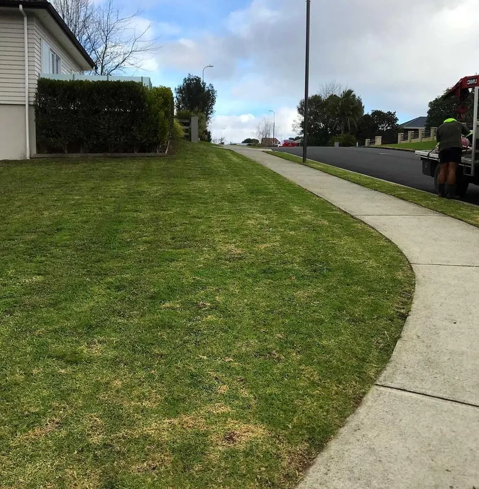 Professional lawn mowing service in San Antonio, TX by Somerset Lawn Services