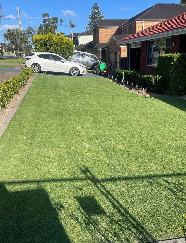 Affordable landscaping services experts serving San Antonio, TX - Somerset Lawn Services