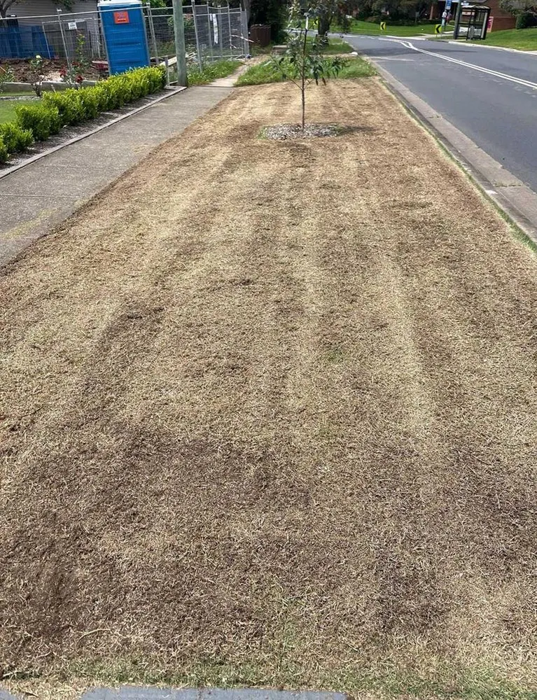 Local landscaping services for homes in San Antonio, TX by Somerset Lawn Services