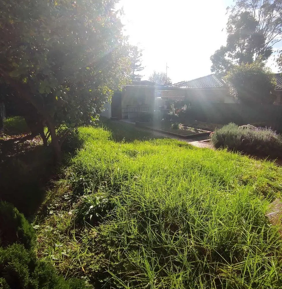 Affordable landscape design in San Antonio, TX - Somerset Lawn Services