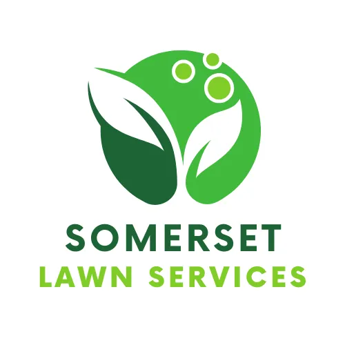 Expert residential landscaping in San Antonio, TX - Somerset Lawn Services