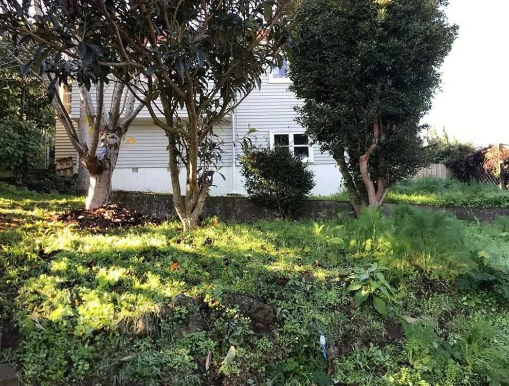 Local landscape installation in San Antonio, TX - Somerset Lawn Services