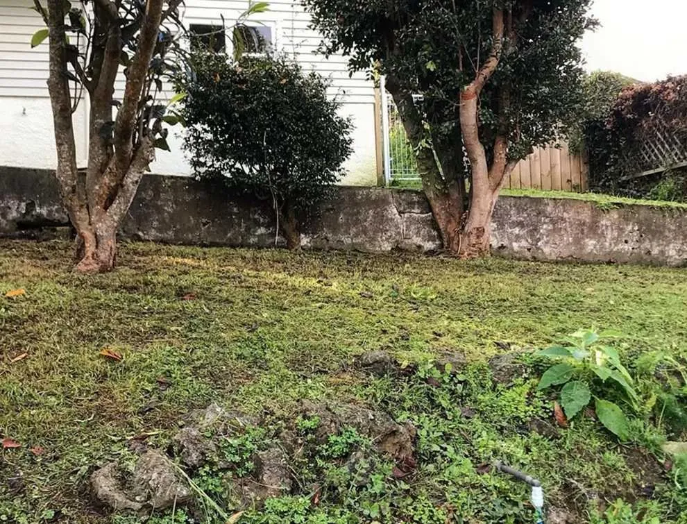 Local outdoor landscaping in San Antonio, TX by Somerset Lawn Services