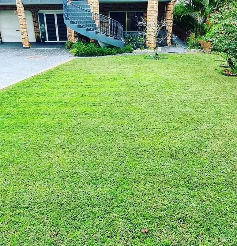 Expert outdoor landscaping for residential properties across San Antonio, TX - Somerset Lawn Services