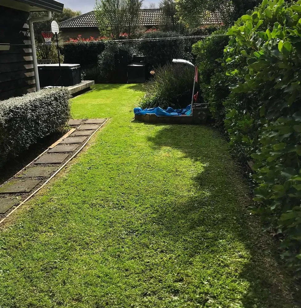 Local residential landscaping experts serving San Antonio, TX - Somerset Lawn Services