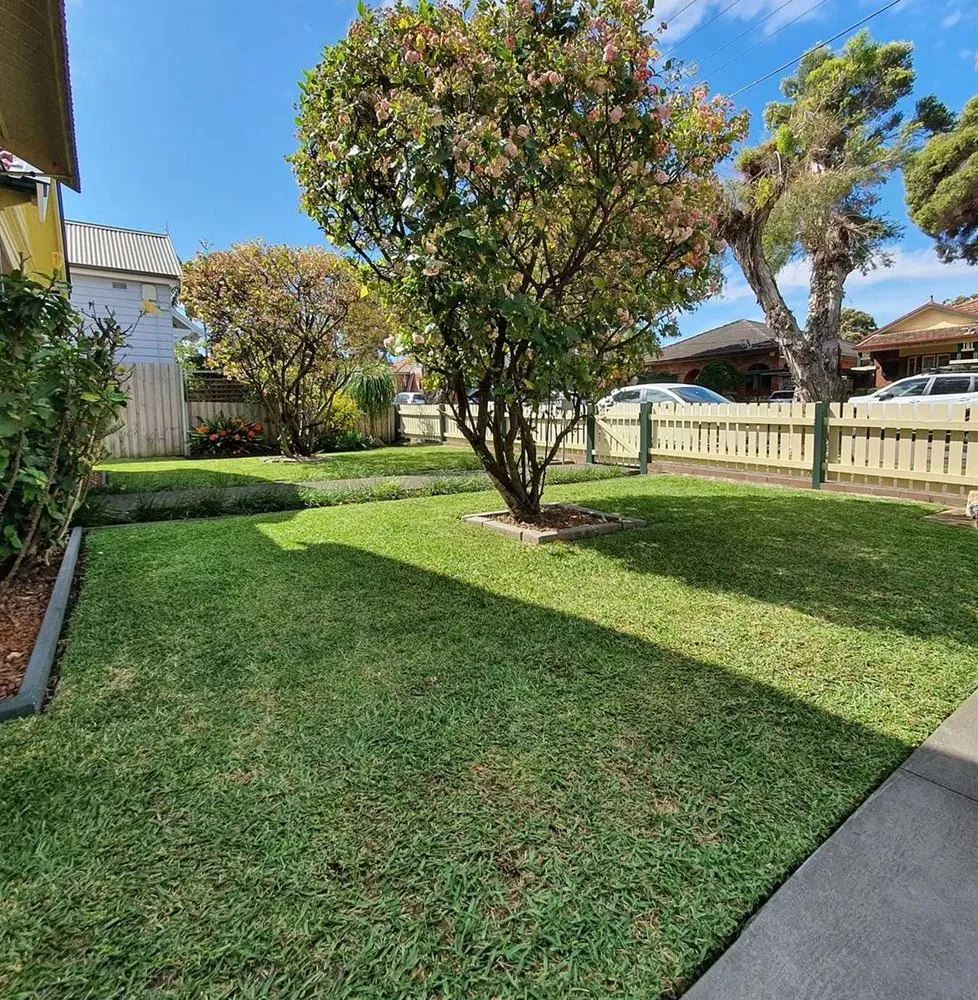 Local landscape installation near you in San Antonio, TX by Somerset Lawn Services