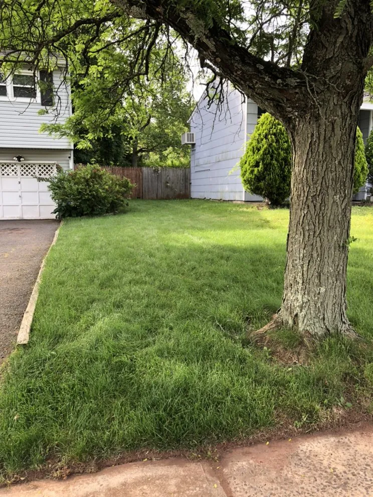 Custom garden landscaping in Somerset, NJ - Somerset Mowing