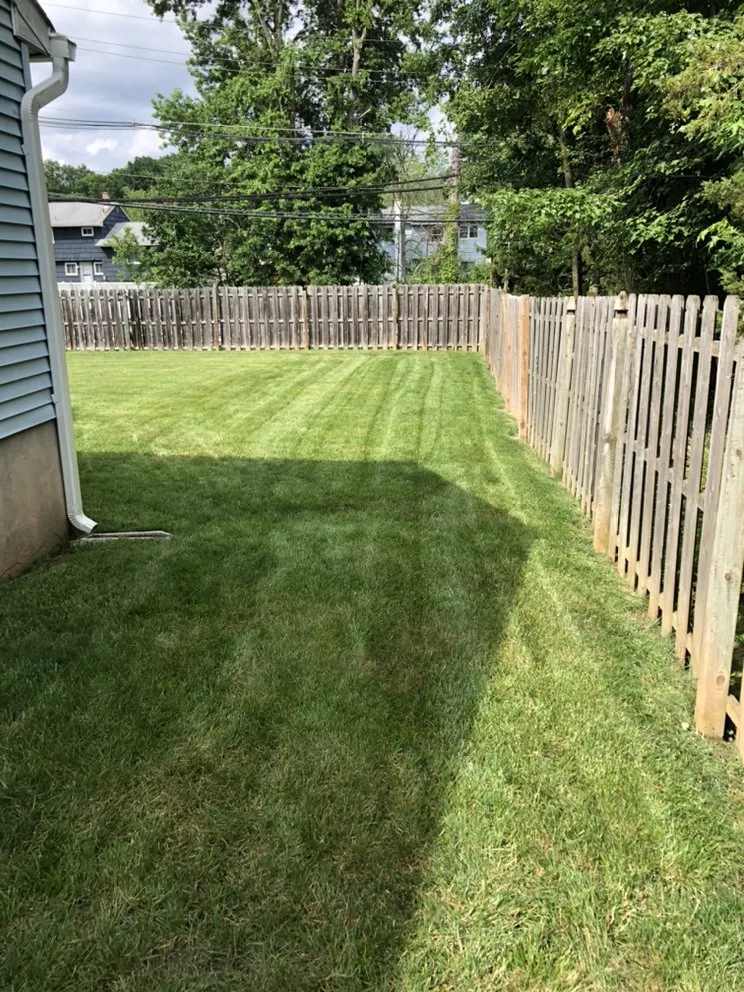 Expert yard cleanup service in Somerset, NJ - Somerset Mowing
