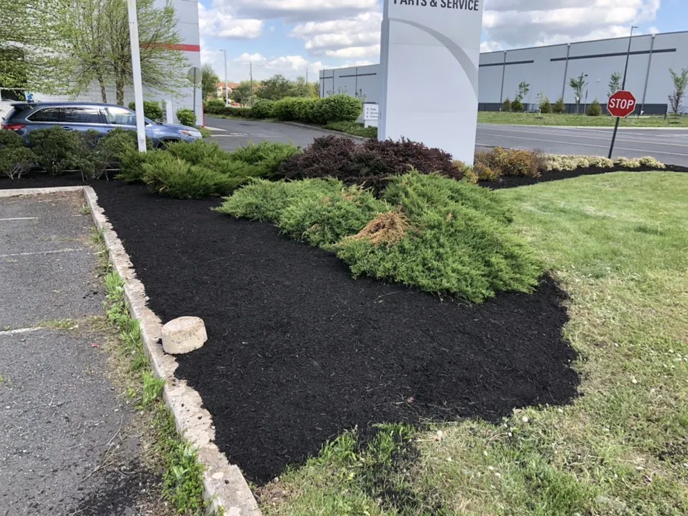 Affordable landscape design for homes across Somerset, NJ - Somerset Mowing