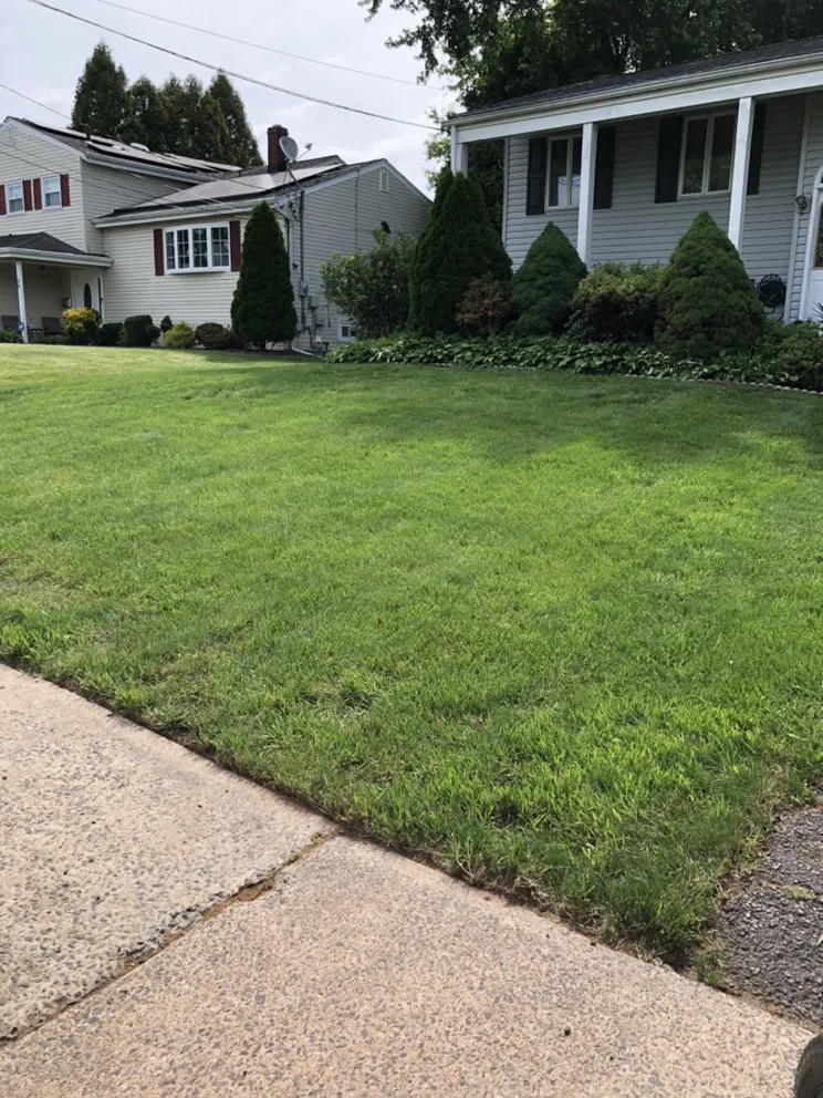 Top-rated yard cleanup service experts serving Somerset, NJ - Somerset Mowing