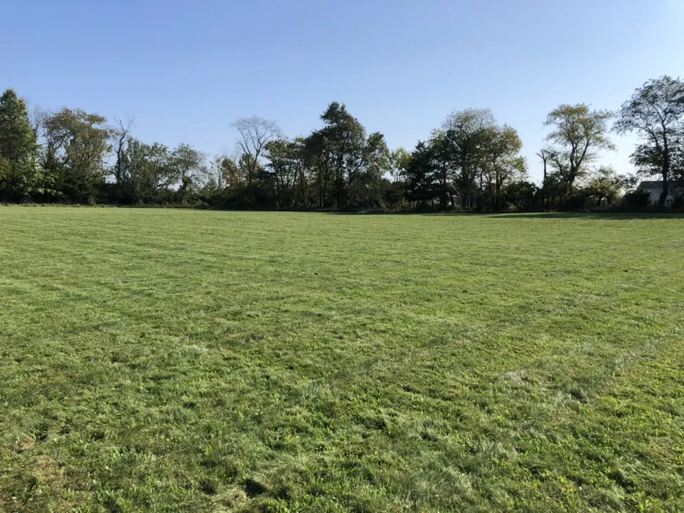 Trusted lawn care service in Somerset, NJ by Somerset Mowing