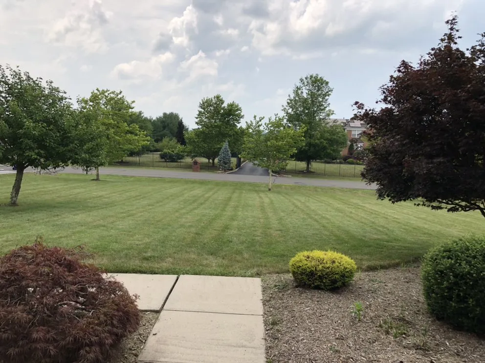 Local lawn mowing service with custom design in Somerset, NJ by Somerset Mowing
