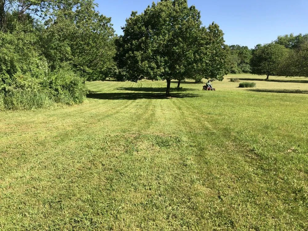 Local yard cleanup service in Somerset, NJ - Somerset Mowing