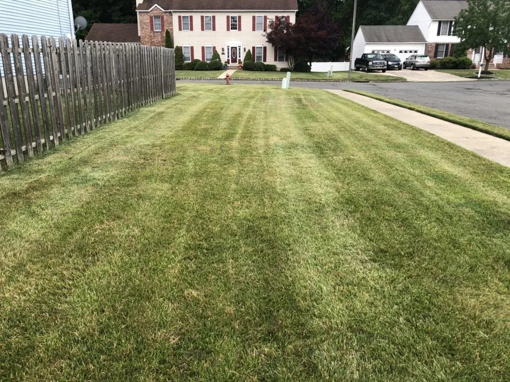 Trusted lawn mowing service experts serving Somerset, NJ - Somerset Mowing