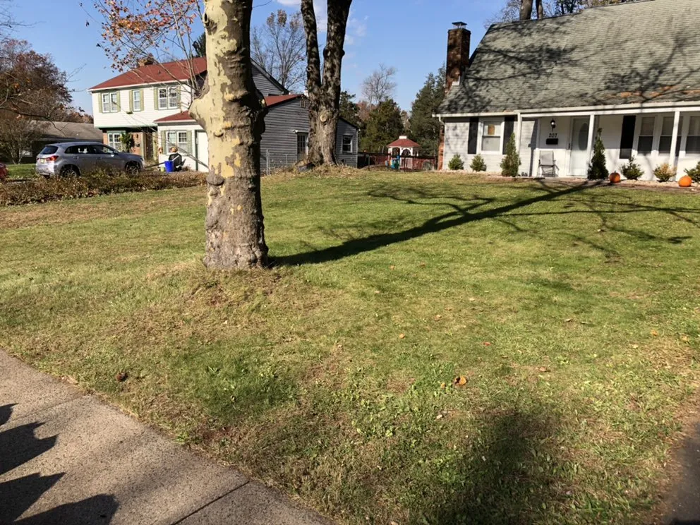 Local landscaping services in Somerset, NJ by Somerset Mowing
