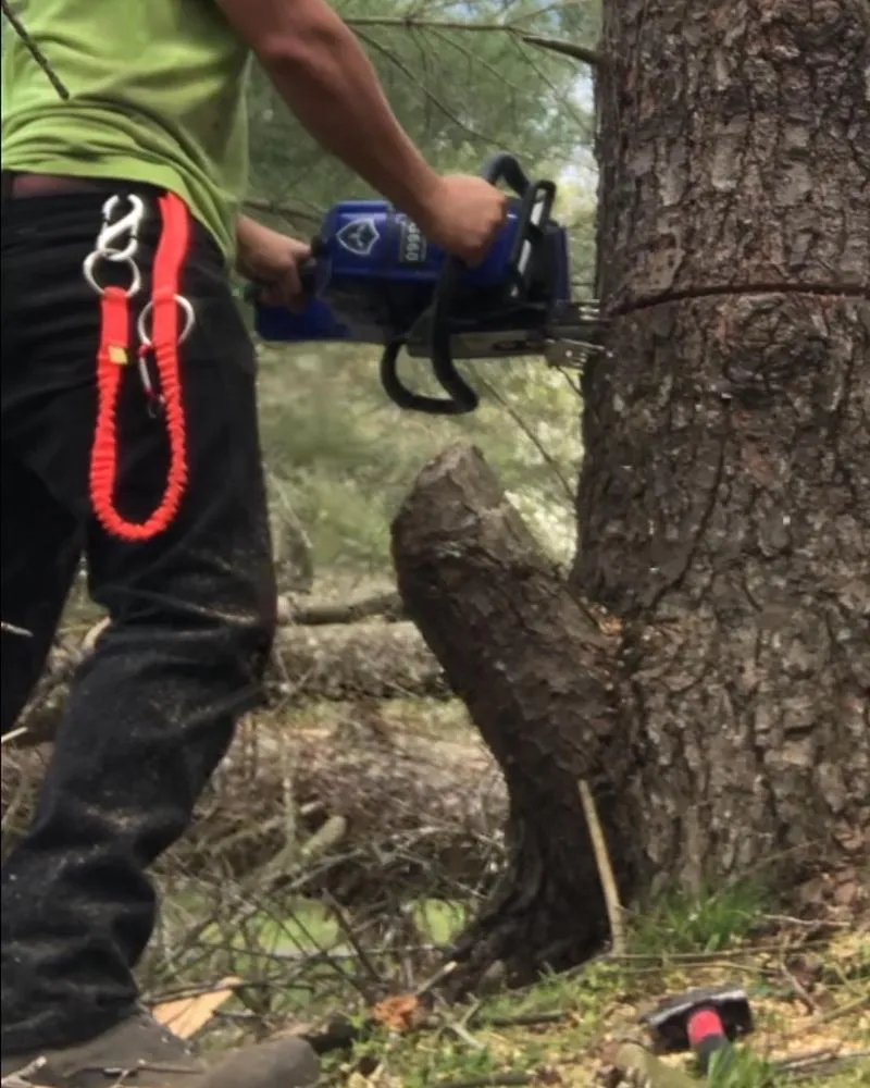 Expert landscape installation for beautiful yards across Ferguson, KY - Somerset Stump & Tree Removers