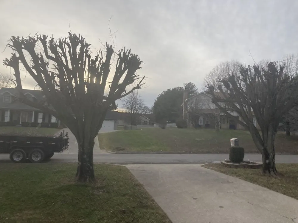 Local yard maintenance experts serving Ferguson, KY - Somerset Stump & Tree Removers