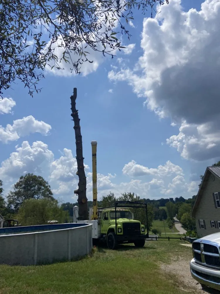 Reliable landscaping services experts serving Ferguson, KY - Somerset Stump & Tree Removers