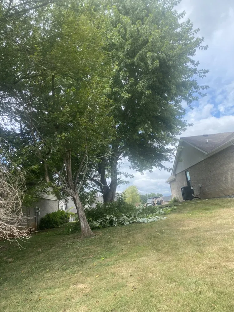 Professional landscape design in Ferguson, KY by Somerset Stump & Tree Removers