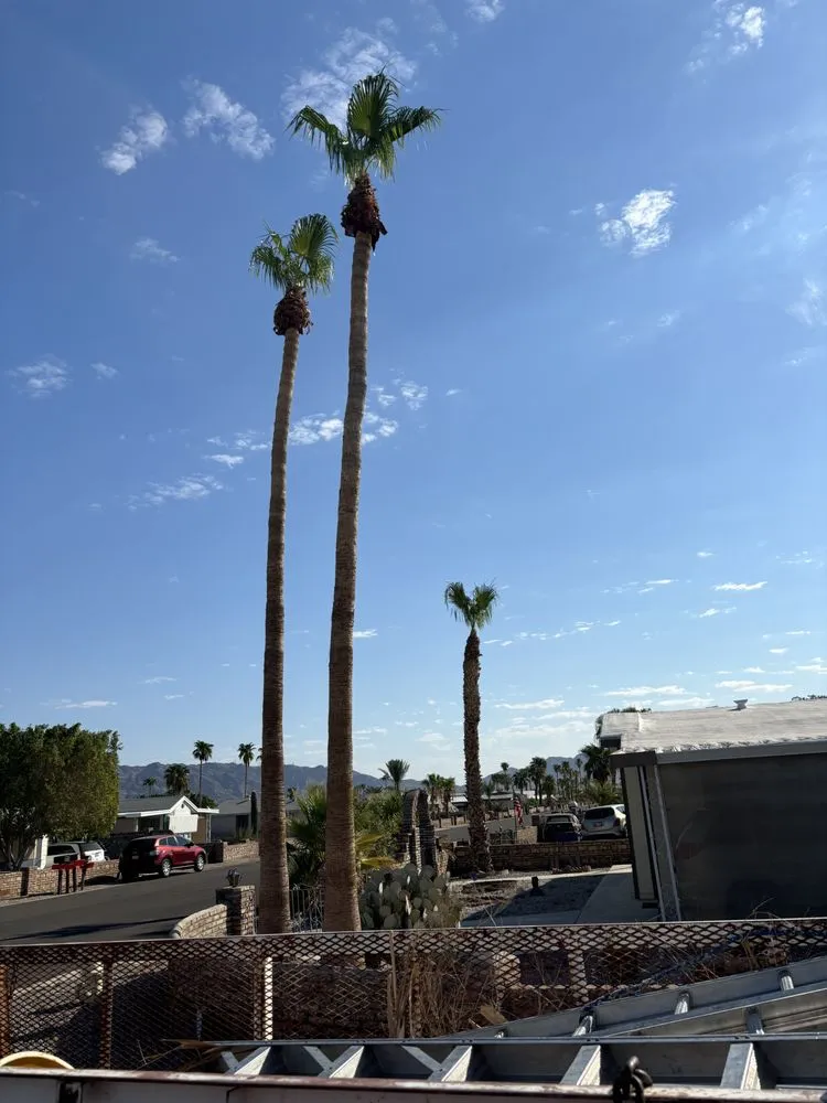 Reliable landscape design for residential properties across Somerton, AZ - Somerton Landscaping