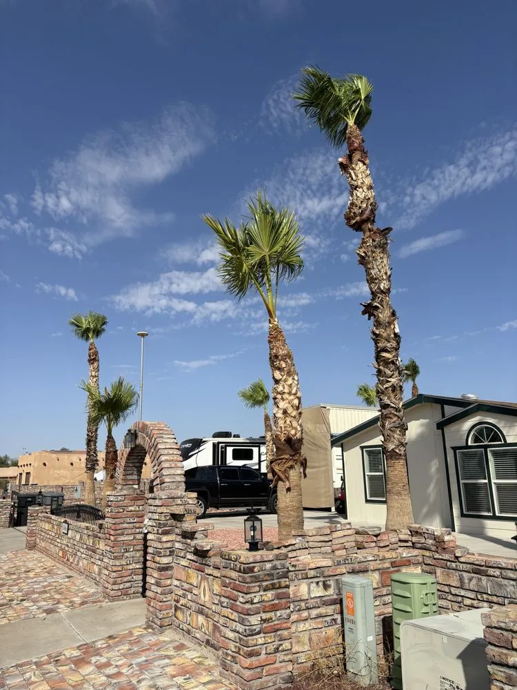 Professional landscape design for outdoor upgrades across Somerton, AZ - Somerton Landscaping