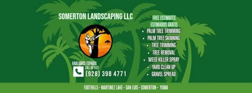 Top-rated outdoor landscaping in Somerton, AZ by Somerton Landscaping
