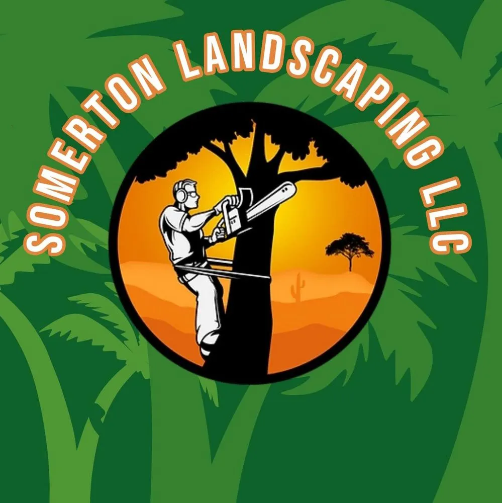 Affordable landscaping services experts serving Somerton, AZ - Somerton Landscaping