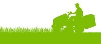 Reliable yard cleanup service in Matteson, IL - Somerville Landscaping