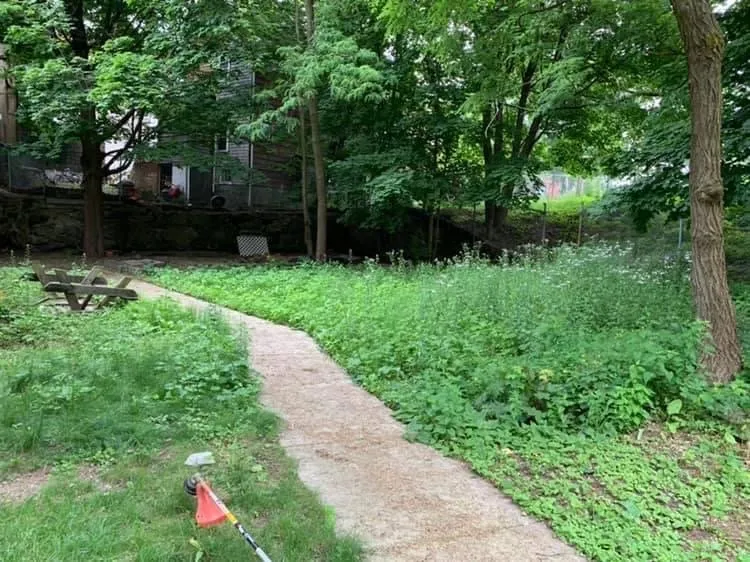 Expert landscape design experts serving Somerville, MA - Somerville Landscaping