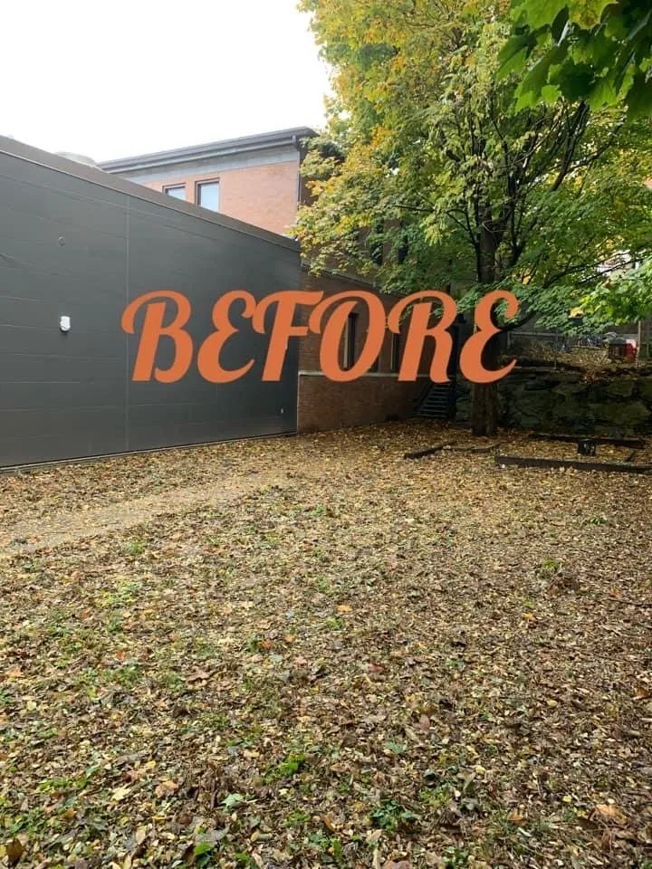 Professional garden landscaping in Somerville, MA by Somerville Landscaping