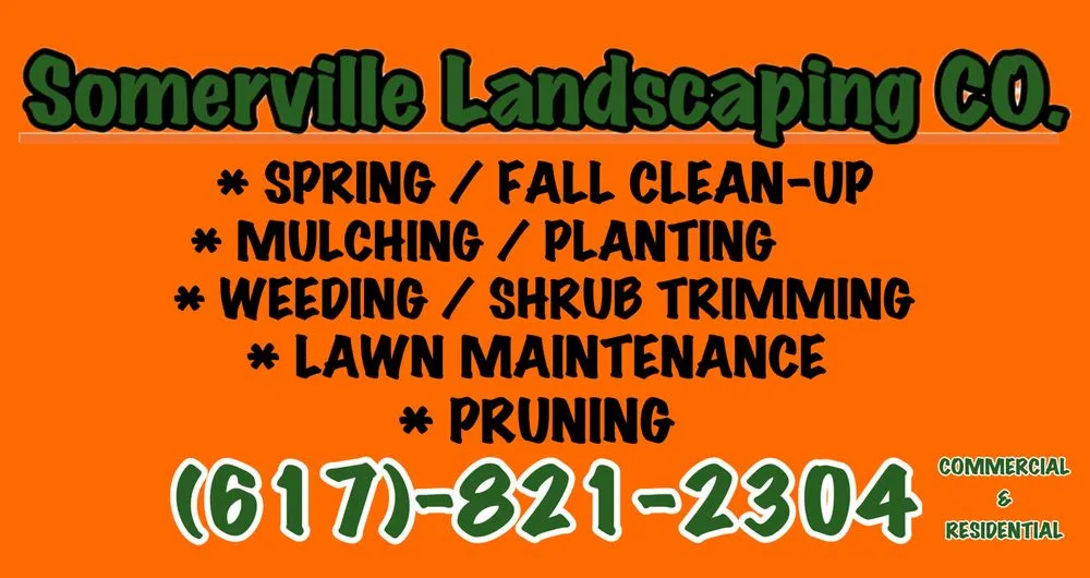 Top-rated lawn care service in Somerville, MA by Somerville Landscaping