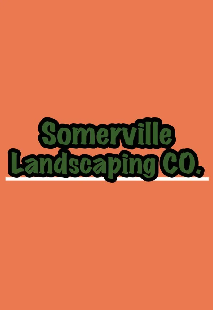 Top-rated yard cleanup service experts serving Somerville, MA - Somerville Landscaping