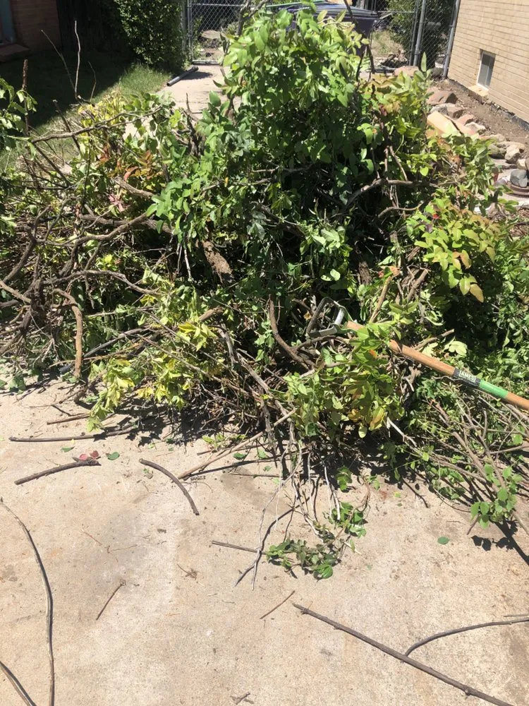 Local garden landscaping in Brighton, CO - Somes Gotta Do It