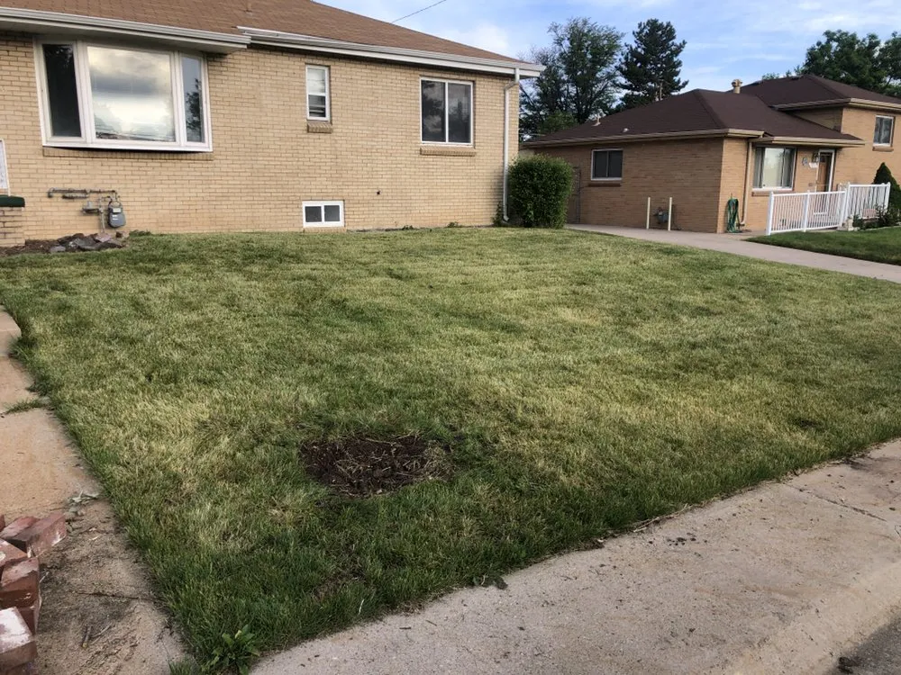 Professional lawn mowing service experts serving Brighton, CO - Somes Gotta Do It