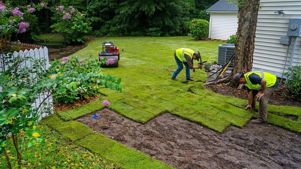 Affordable residential landscaping in Rancho Cordova, CA - Sommer Landscaping