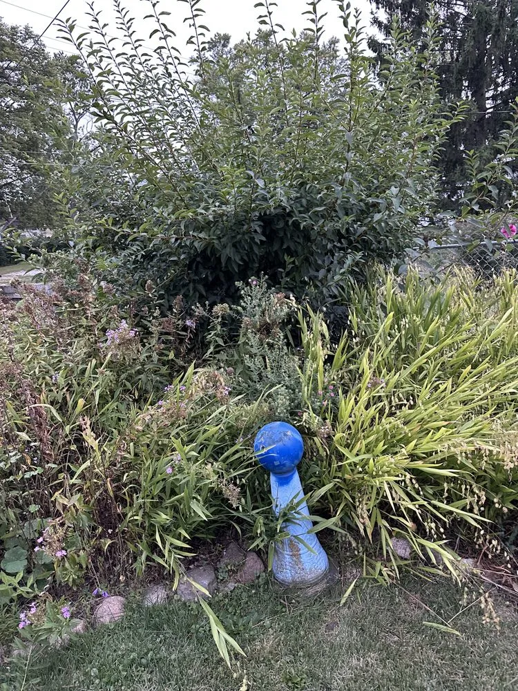 Custom landscape design for residential properties across Fisher, IL - Sommer Outdoor Services