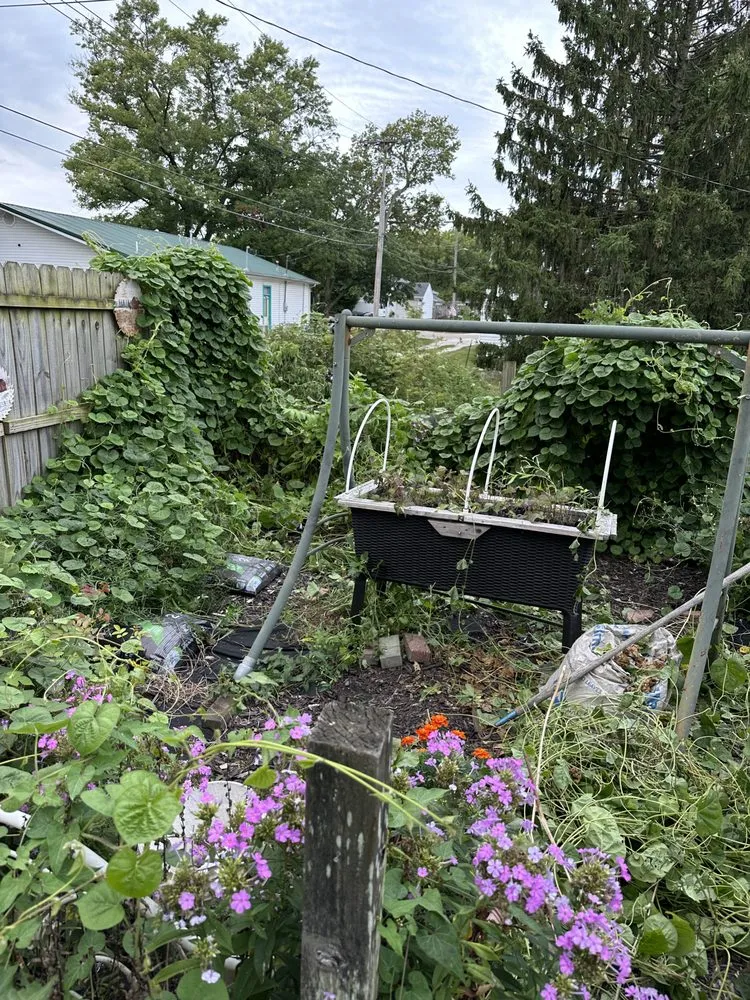 Affordable yard cleanup service in Fisher, IL - Sommer Outdoor Services