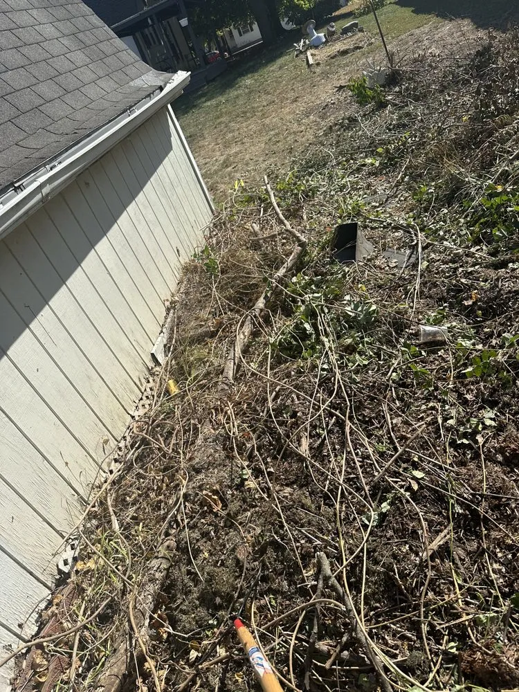 Trusted yard maintenance for outdoor upgrades across Fisher, IL - Sommer Outdoor Services