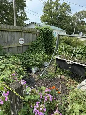 Sommer Outdoor Services