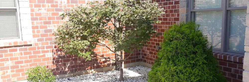 Reliable lawn mowing service for beautiful yards across Wentzville, MO - Sommertimes