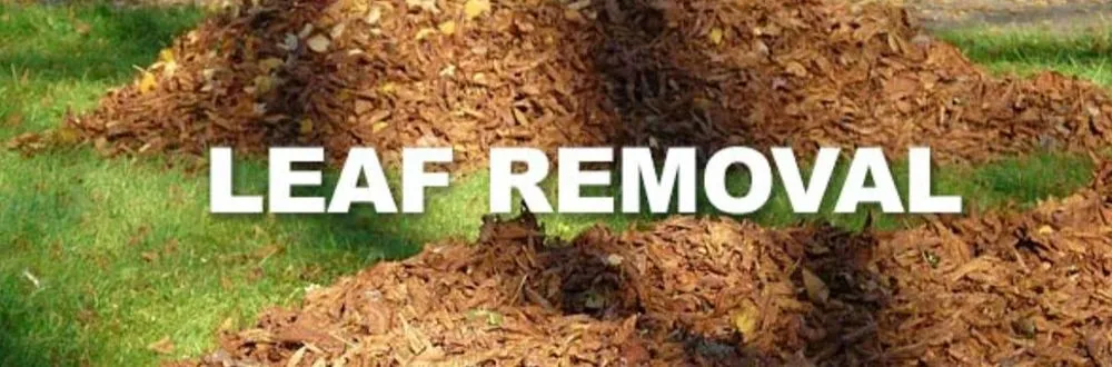 Affordable outdoor landscaping for beautiful yards across Wentzville, MO - Sommertimes