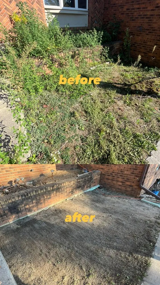 Expert landscape design in Saint John, IN by Son and Moon Services