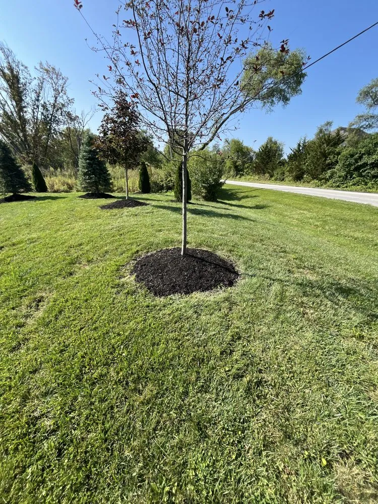 Trusted yard cleanup service for residential properties across Saint John, IN - Son and Moon Services